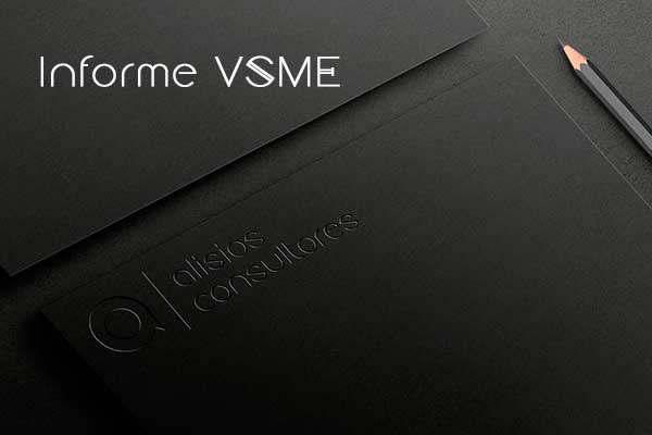 Informe VSME